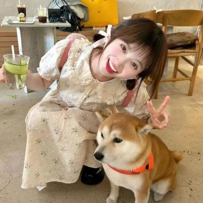 公开赛魅影 封面